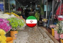 بهترین بازار گل تهران [معرفی 9 مرکز + مشخصات و آدرس]