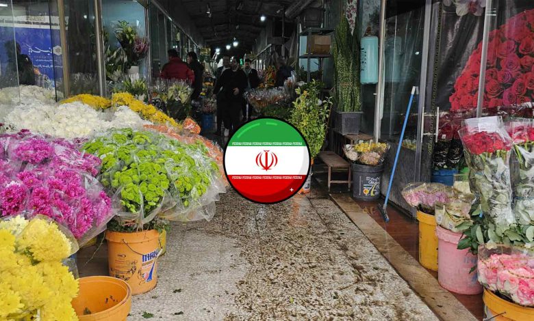 بهترین بازار گل تهران [معرفی 9 مرکز + مشخصات و آدرس]